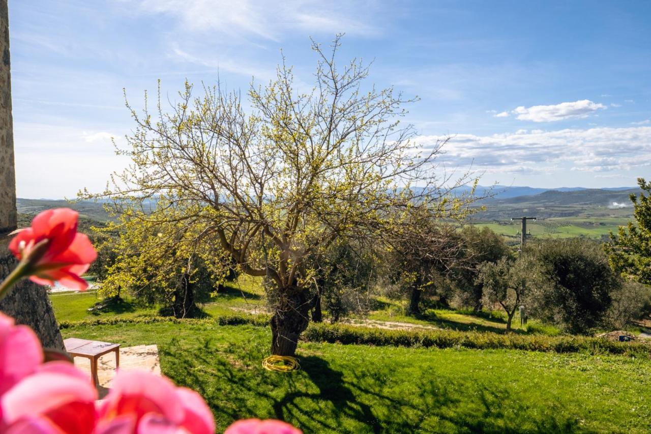 Podere Montale Il Borgo Seggiano Exteriör bild